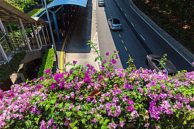 有消息称《王国之心4》将于明年2月公布26年发售